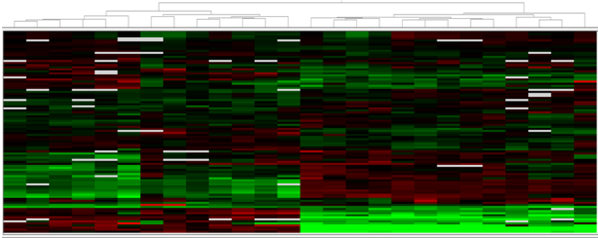 schéma analyse protéomes des neutrophiles projet Dysrégulation immunitaire dans les vascularites à ANCA : rôle de la protéinase 3 équipe Witko