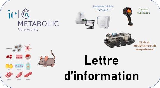 image lettre d&#039;information