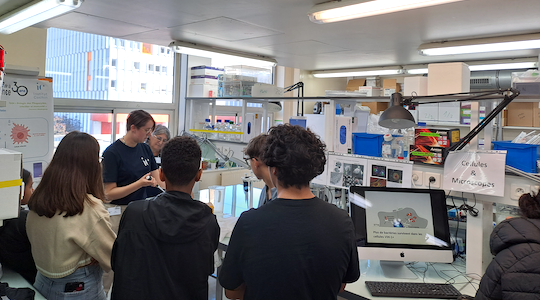 observations dans un laboratoire