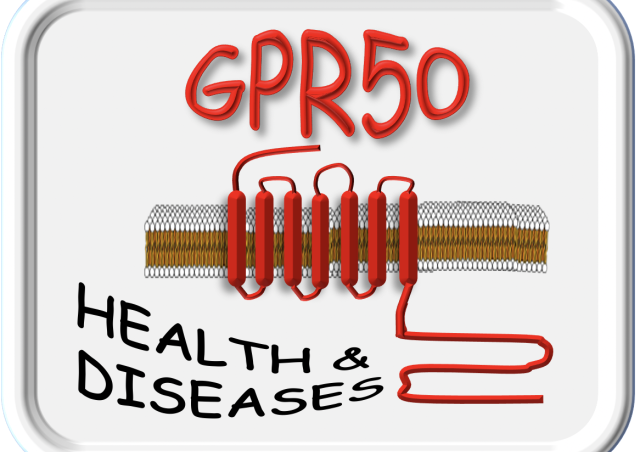 Image projet Décrypter la fonction du récepteur GPR50 en condition physiopathologie et pathologique