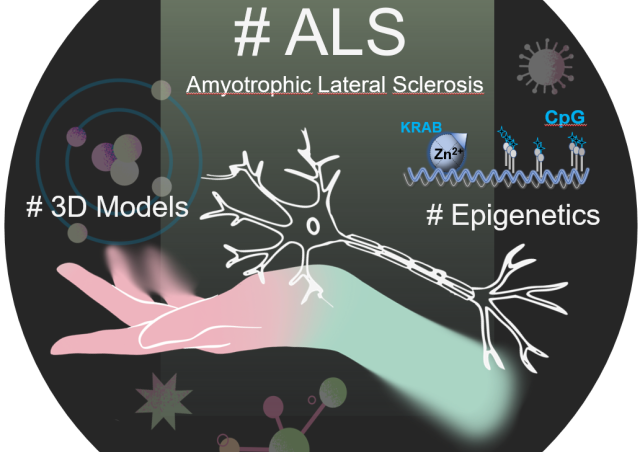 ALS